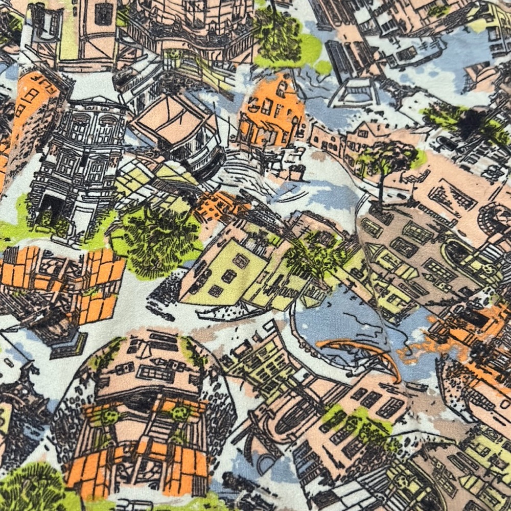 LuLaRoe LLR tall and curvy leggings in watercolor city landscape print